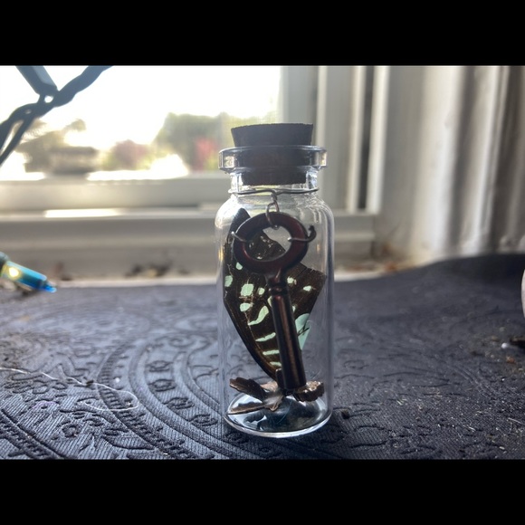 Glass curiosity jars holding beautiful ephemera - Picture 6 of 14